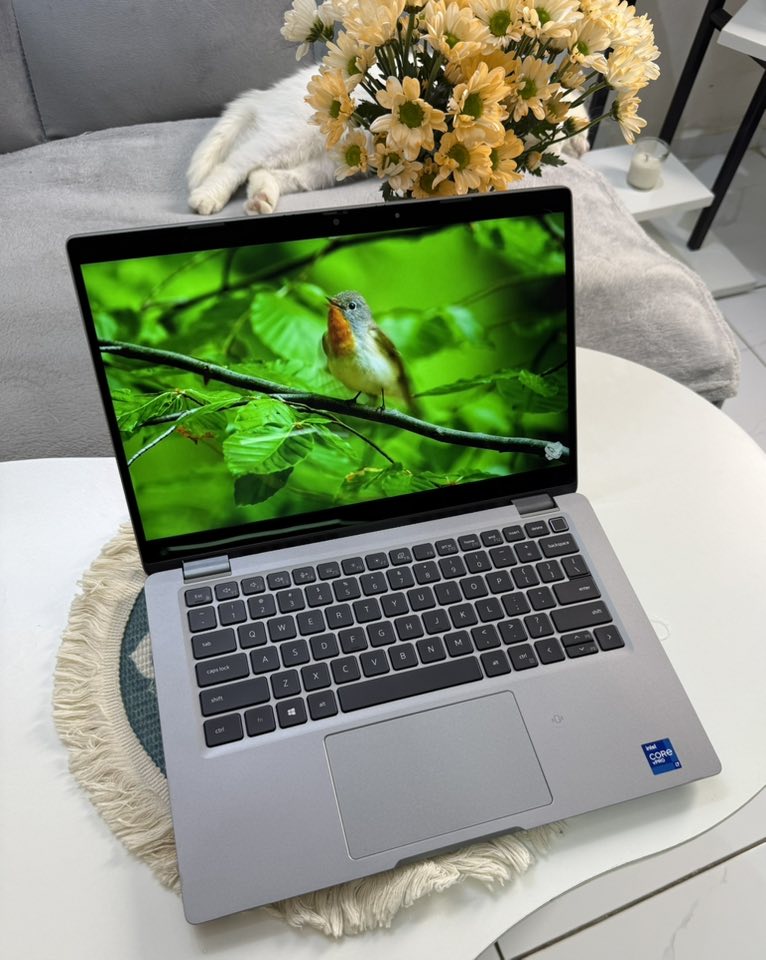 laptop cũ tại bình thạnh