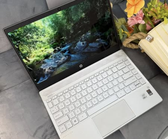 HP Pavilion 13 an1015TU (Máy Mỹ)